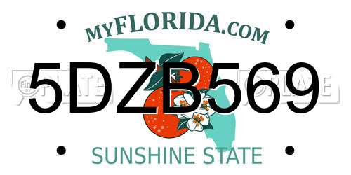 5DZB569 Florida License Plate