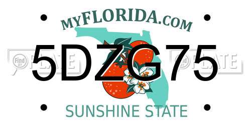 5DZG75 Florida License Plate