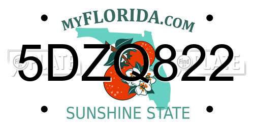 5DZQ822 Florida License Plate