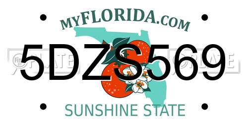 5DZS569 Florida License Plate