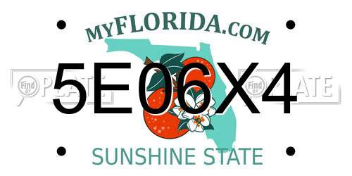 5E06X4 Florida License Plate