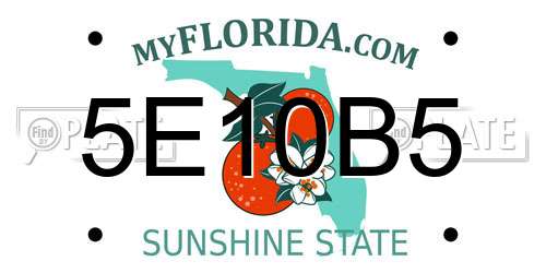 5E10B5 Florida License Plate