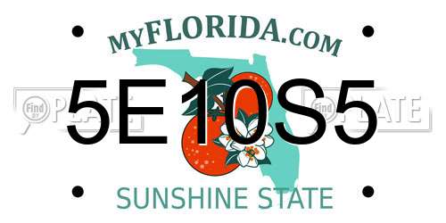 5E10S5 Florida License Plate