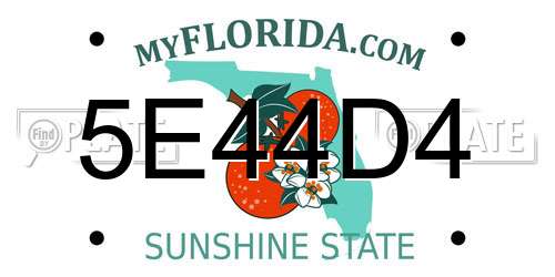 5E44D4 Florida License Plate