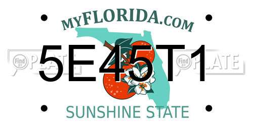 5E45T1 Florida License Plate