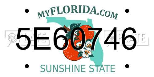 5E60746 Florida License Plate