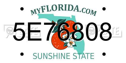 5E76808 Florida License Plate