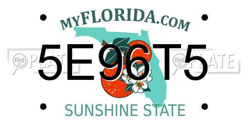 5E96T5 Florida License Plate