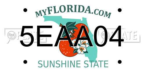 5EAA04 Florida License Plate