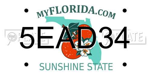 5EAD34 Florida License Plate