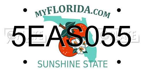 5EAS055 Florida License Plate