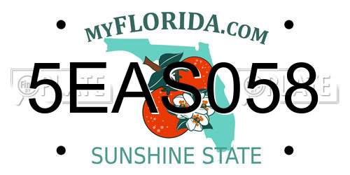 5EAS058 Florida License Plate