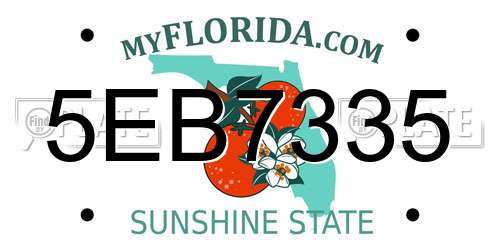 5EB7335 Florida License Plate