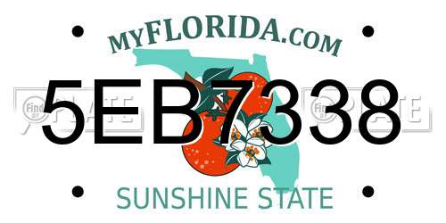 5EB7338 Florida License Plate