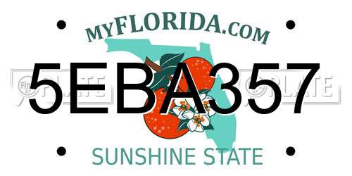 5EBA357 Florida License Plate