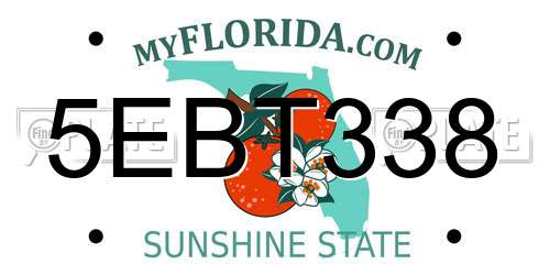 5EBT338 Florida License Plate