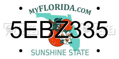 5EBZ335 Florida License Plate