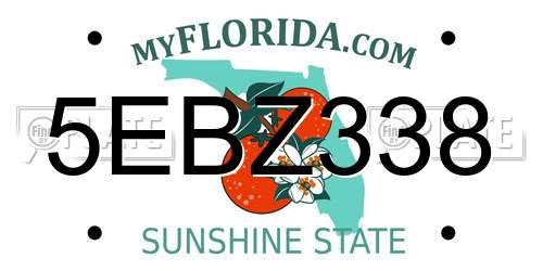5EBZ338 Florida License Plate