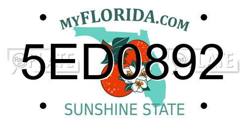 5ED0892 Florida License Plate