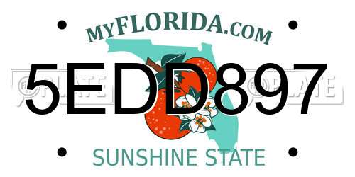 5EDD897 Florida License Plate