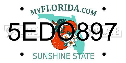 5EDO897 Florida License Plate