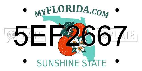 5EF2667 Florida License Plate