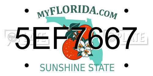 5EF7667 Florida License Plate