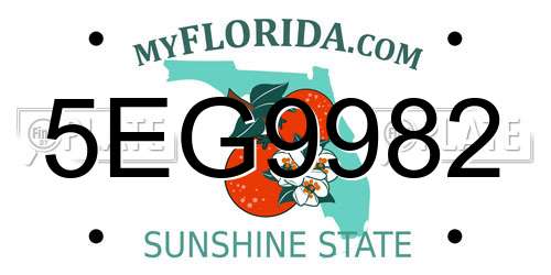 5EG9982 Florida License Plate