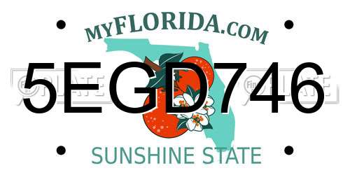 5EGD746 Florida License Plate