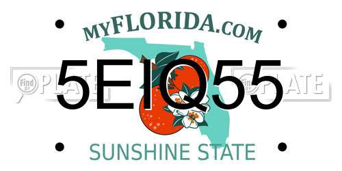 5EIQ55 Florida License Plate