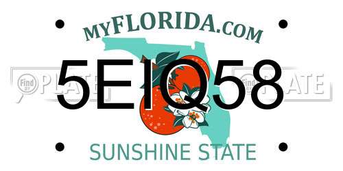 5EIQ58 Florida License Plate