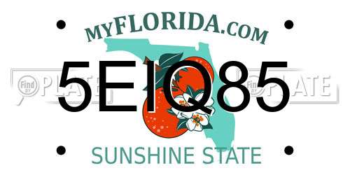 5EIQ85 Florida License Plate