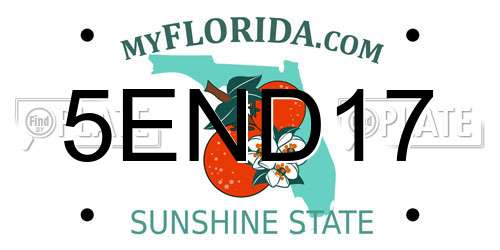 5END17 Florida License Plate