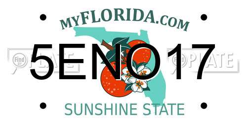 5ENO17 Florida License Plate