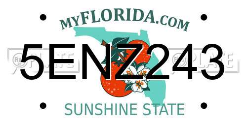 5ENZ243 Florida License Plate