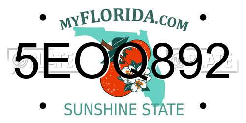 5EOQ892 Florida License Plate