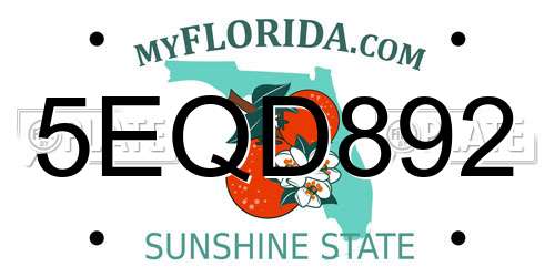5EQD892 Florida License Plate