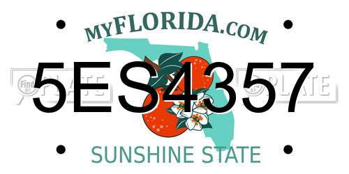 5ES4357 Florida License Plate