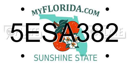 5ESA382 Florida License Plate