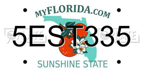5EST335 Florida License Plate