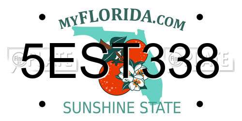 5EST338 Florida License Plate