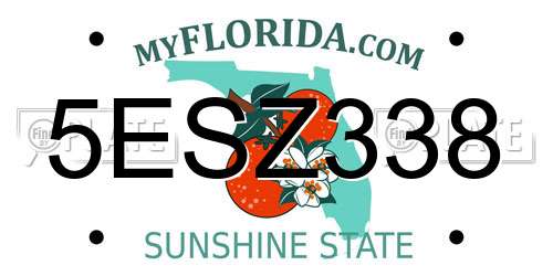 5ESZ338 Florida License Plate
