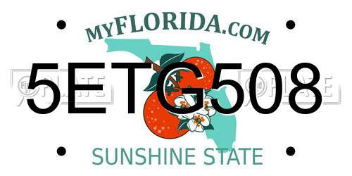 5ETG508 Florida License Plate