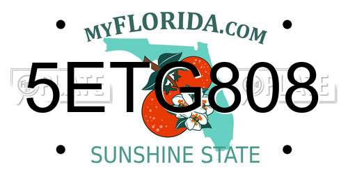 5ETG808 Florida License Plate