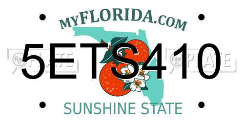 5ETS410 Florida License Plate