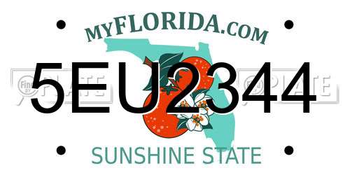 5EU2344 Florida License Plate