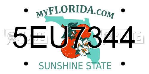 5EU7344 Florida License Plate