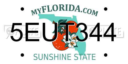 5EUT344 Florida License Plate
