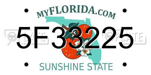 5F33225 Florida License Plate