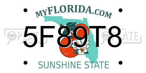 5F89T8 Florida License Plate